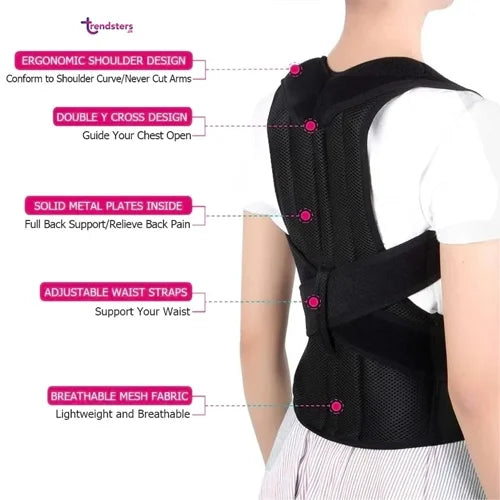 Imported Doctor Plus Posture Belt