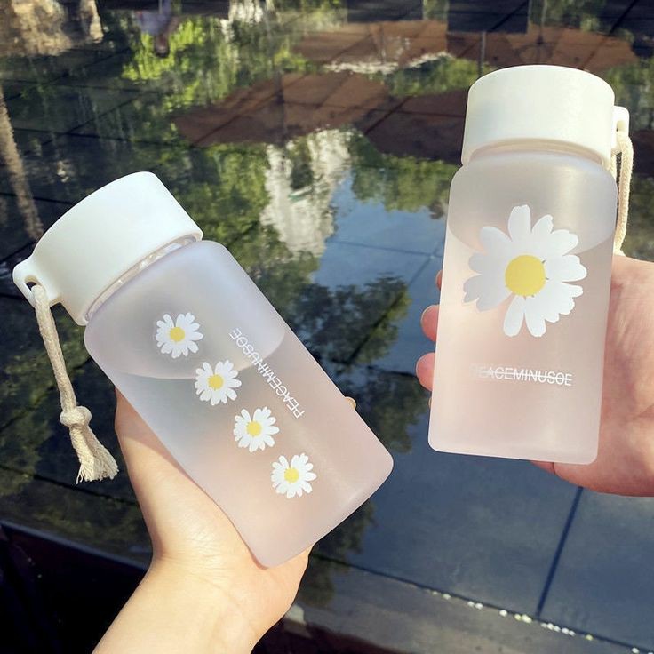 Daisy Water Bottle (Pack Of 2❤️‍🔥)