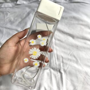 Daisy Water Bottle (Pack Of 2❤️‍🔥)